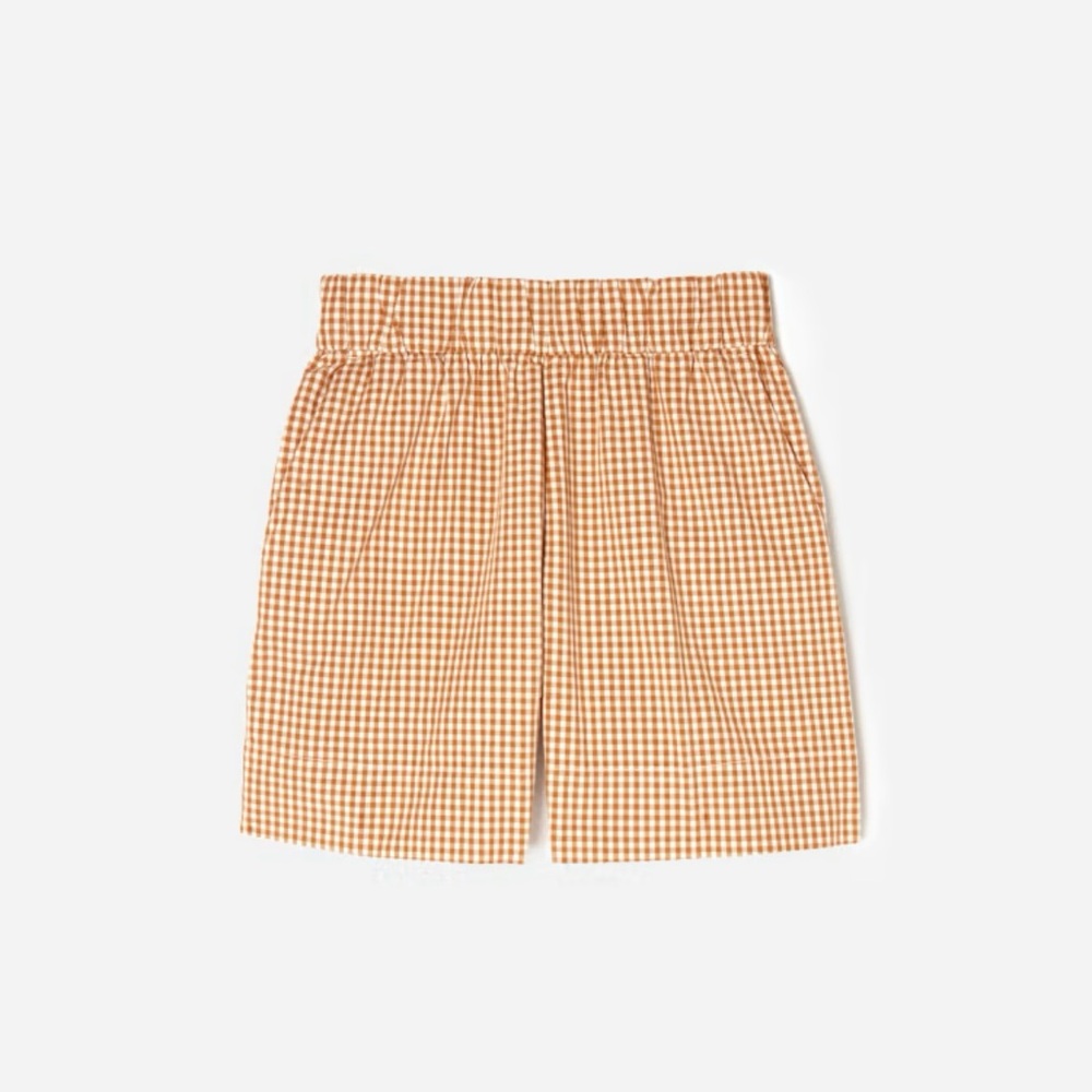 Everlane Gingham Easy Short